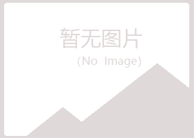 天峻县山柏采矿有限公司